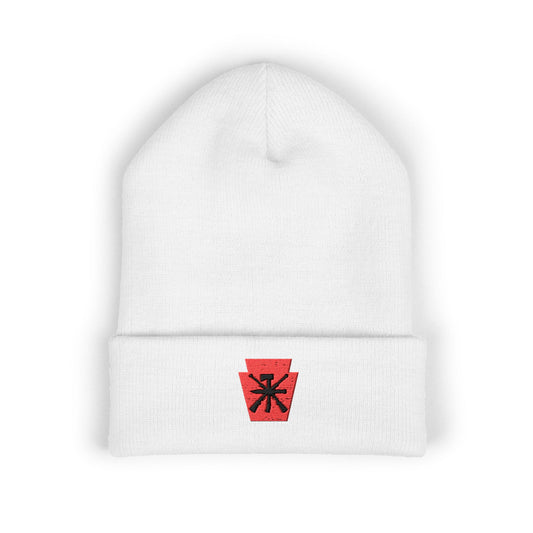 Fury Cuffed Beanie